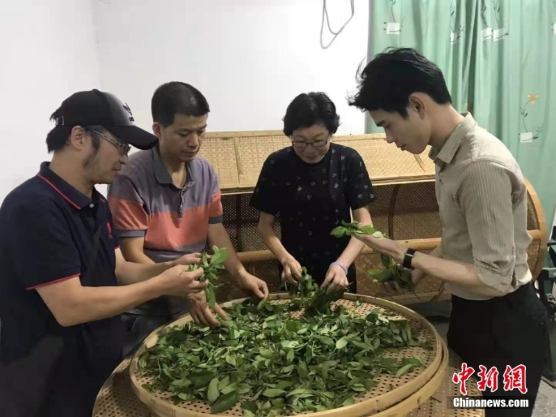 資料圖為臺灣制茶師左如玉（右二）在福建漳平教學生制茶。 <a target='_blank' href='/'>中新社</a>發(fā) 受訪者供圖
