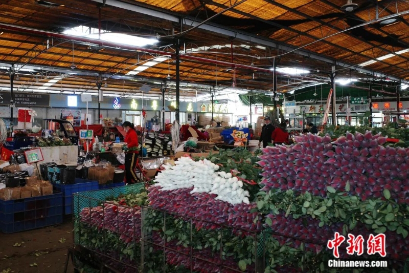 圖為嶺南花卉市場。<a target='_blank' href='/'>中新社</a>記者 陳楚紅 攝