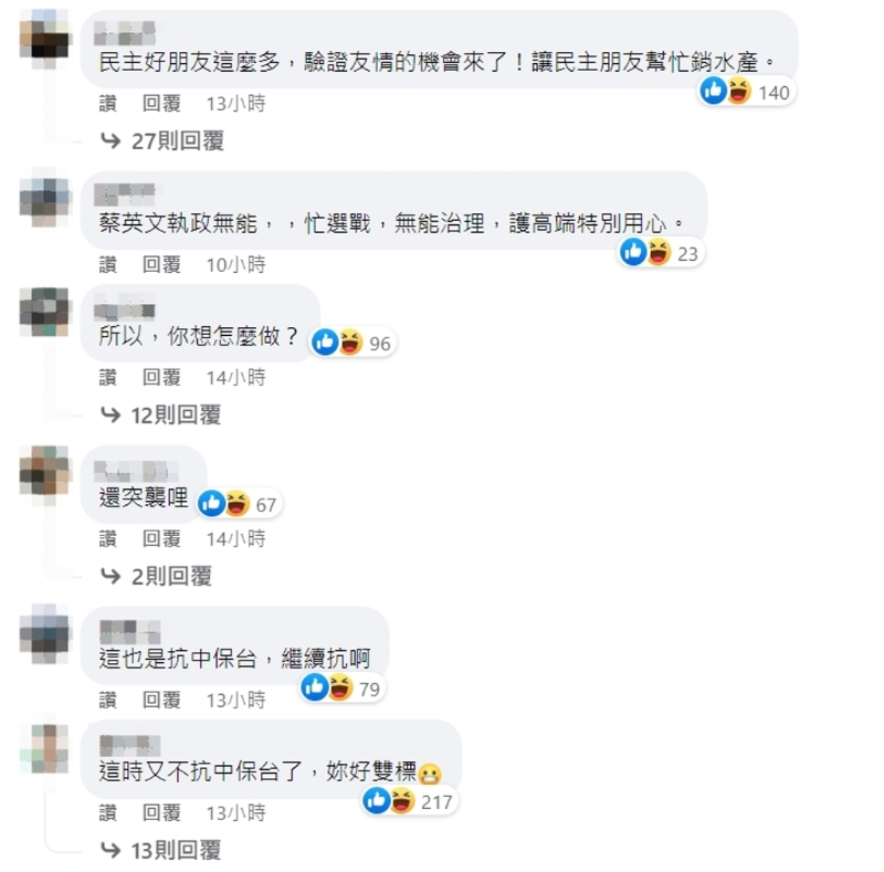 臉書網(wǎng)友留言。（圖／截自蔡英文臉書）