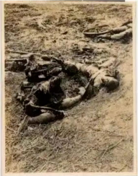 南京郊外被日軍屠殺的中國人尸體。圖源：侵華日軍南京大屠殺遇難同胞紀(jì)念館網(wǎng)站
