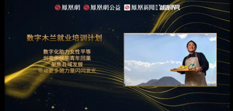 鳳凰網(wǎng)行動者聯(lián)盟2022公益盛典揭曉11大公益獎項，發(fā)布4款數(shù)字公益藏品