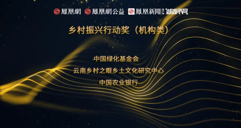 鳳凰網(wǎng)行動者聯(lián)盟2022公益盛典揭曉11大公益獎項，發(fā)布4款數(shù)字公益藏品