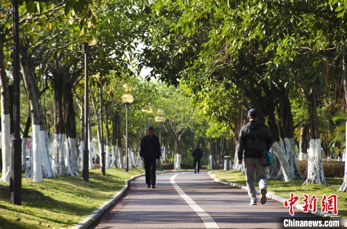 圖為市民、游客在海灣綠道散步?！〉岳顝?攝