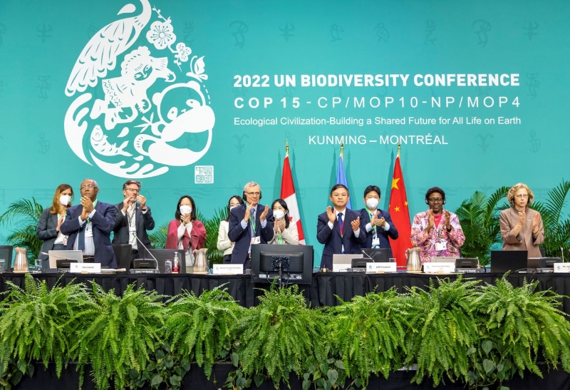12月19日，《生物多樣性公約》第十五次締約方大會（COP15）第二階段會議通過“昆明-蒙特利爾全球生物多樣性框架”。（圖源：路透社）