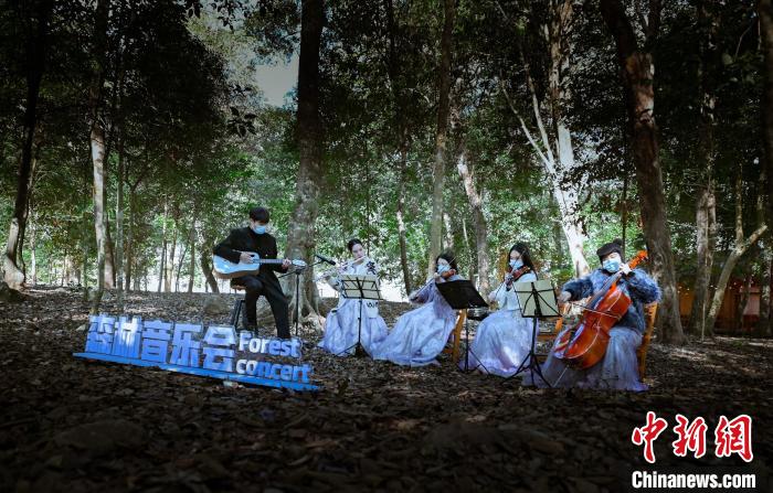 森林音樂會(huì)?！〗冻菂^(qū)融媒體中心 供圖