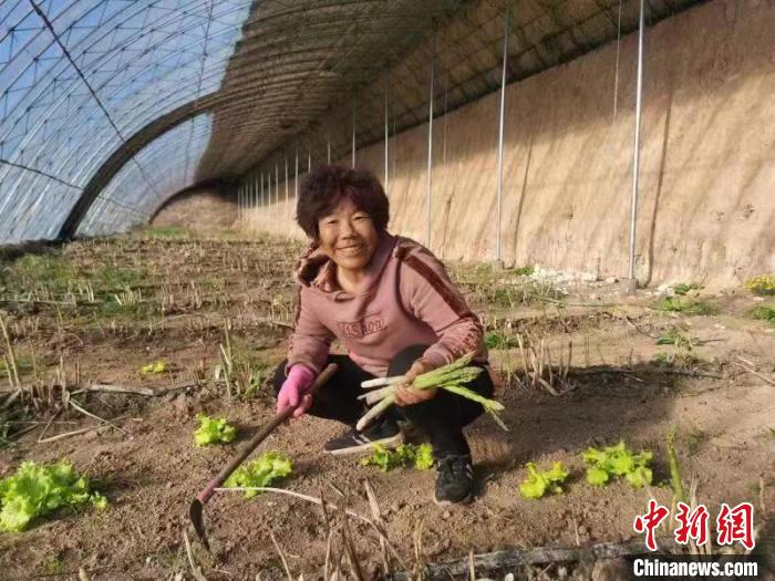 圖為內蒙古赤峰市林西縣農民在大棚里干活(資料圖)。　陳曉云 攝