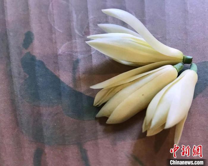 胡玉潔將自己種的白蘭花摘下晾干，放入信封贈(zèng)予朋友。　受訪者提供