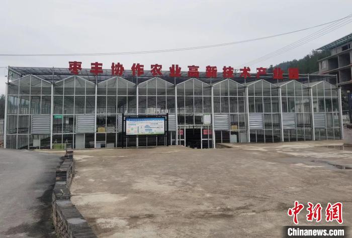 圖為位于豐都縣仙女湖鎮(zhèn)的棗豐協(xié)作農(nóng)業(yè)高新技術(shù)產(chǎn)業(yè)園?！顗粢?攝