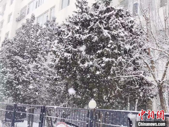 圖為呼和浩特迎降雪?！±類燮?攝