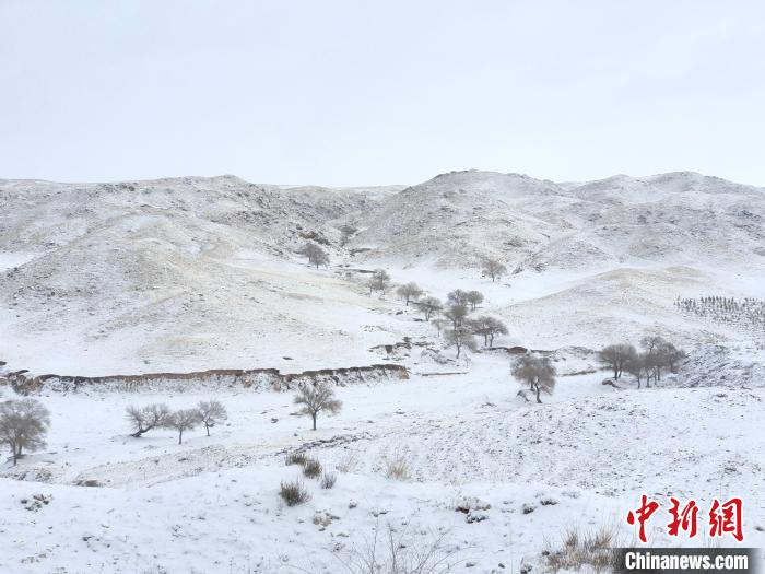 圖為內(nèi)蒙古迎降雪?！?nèi)蒙古自治區(qū)氣息局供圖