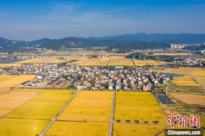 資料圖：杜黃新村一景。　黃俊皓 供圖