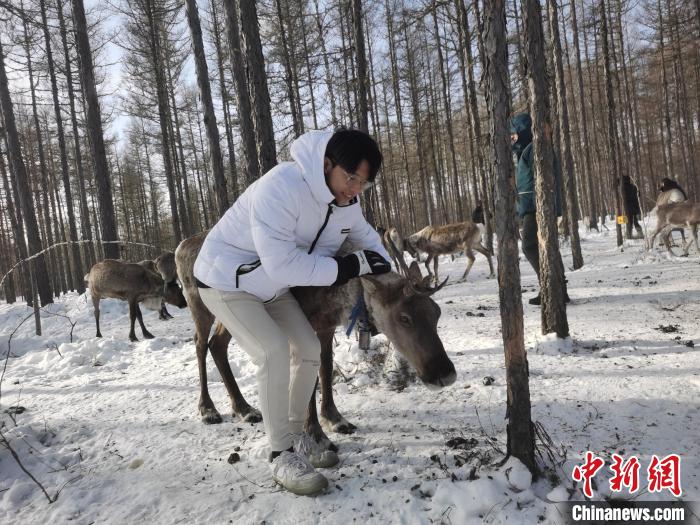 圖為與馴鹿合影的臺(tái)灣青年們?！±類?ài)平 攝