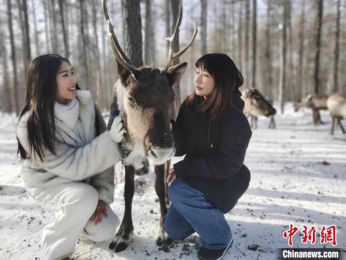 圖為與馴鹿合影的臺(tái)灣青年們。　李愛(ài)平 攝