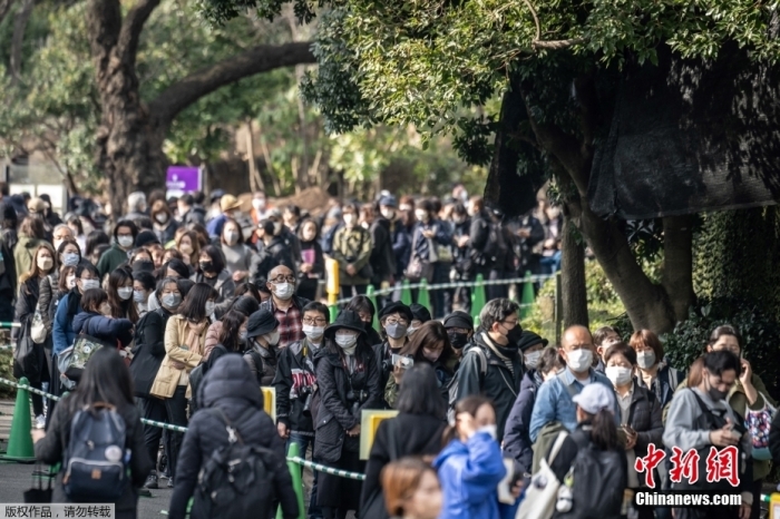 中簽的“幸運(yùn)兒”按預(yù)約時(shí)間段前往大熊貓館等待與“香香”道別。