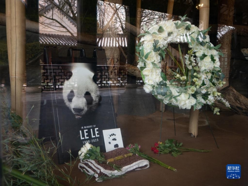 2月4日，美國田納西州孟菲斯動物園擺放了紀念大熊貓“樂樂”的照片和鮮花。（圖源：新華社）