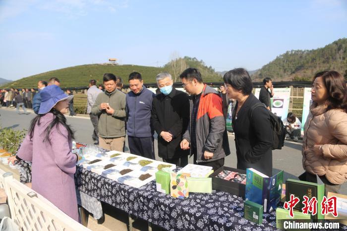 市民游客咨詢、品嘗千島湖茶?！⊥踅ú?攝