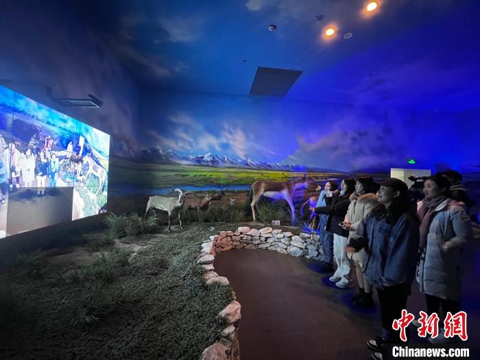 圖為此次活動受邀嘉賓參觀玉樹州博物館?！±罱瓕?攝