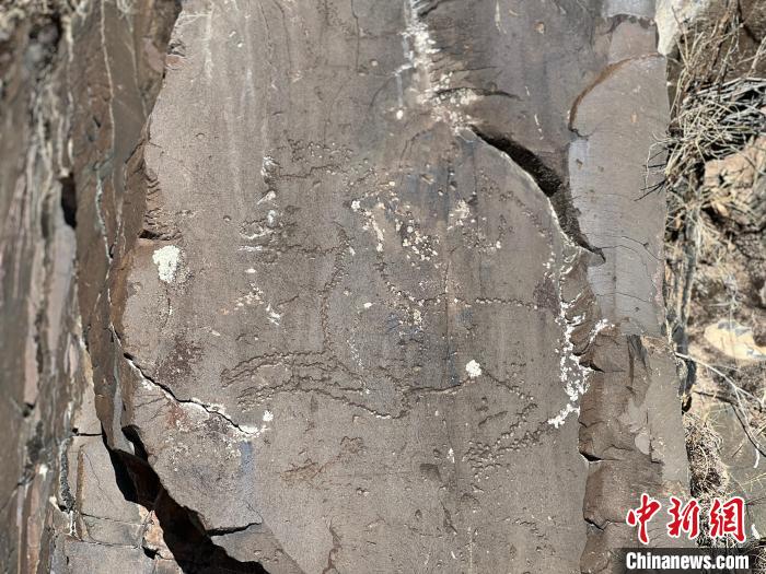 圖為稱多縣境內(nèi)的巖畫?！±罱瓕?攝