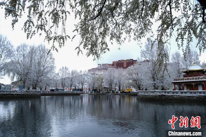 3月30日，春雪與布達(dá)拉宮?！〗w波 攝