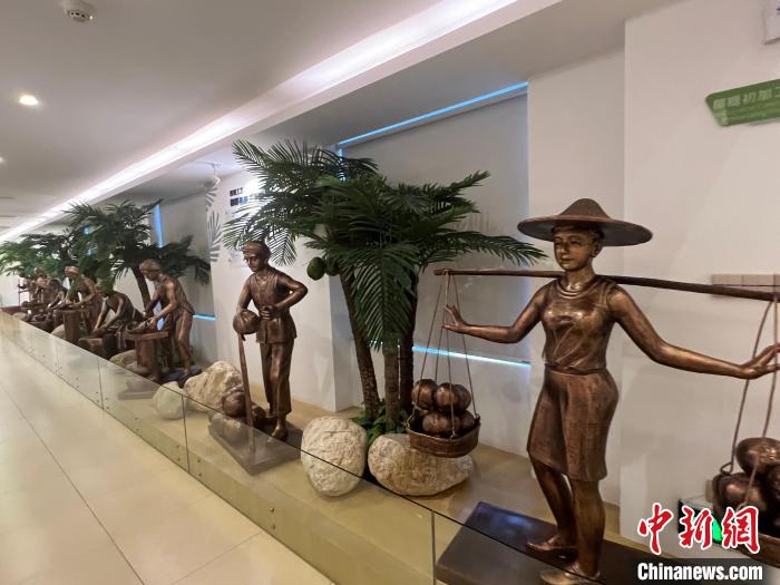 春光椰子王國里的椰子文化展示?！÷访?攝