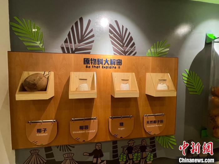 春光椰子王國里的椰子糖原物料展示?！÷访?攝