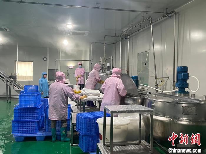 鮮友的生產(chǎn)車間內(nèi)，員工正在制作果汁產(chǎn)品?！÷访?攝