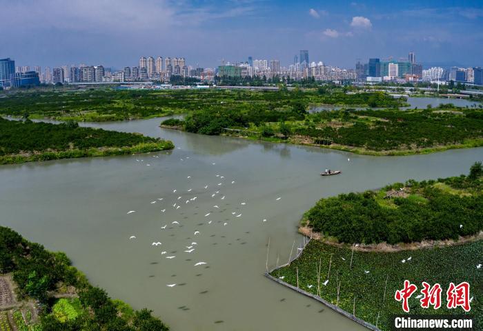 溫州生態(tài)園三垟濕地入選首批“浙江省觀鳥(niǎo)勝地”