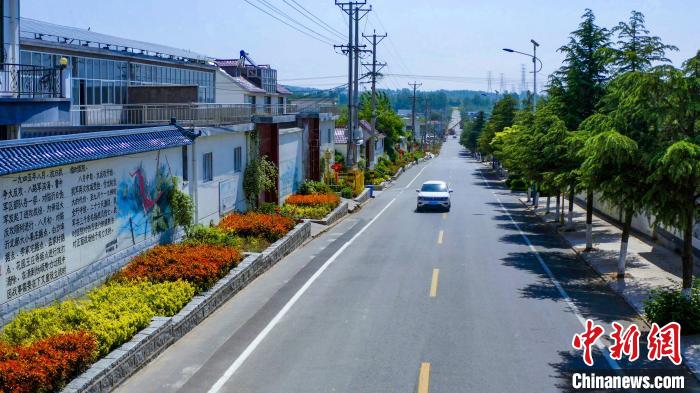 資料圖：圖為臨沂市蘭山區(qū)半程鎮(zhèn)美麗的戶戶通道路。(無人機照片) 孫磊 攝