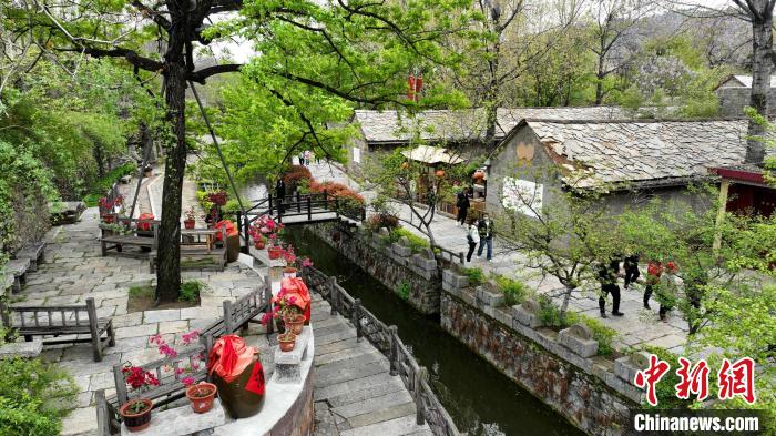 資料圖：蘭陵縣壓油溝景區(qū)內(nèi)仿古的石頭房、整齊的青石板路吸引游客參觀。(無人機照片) 劉芳芳 攝