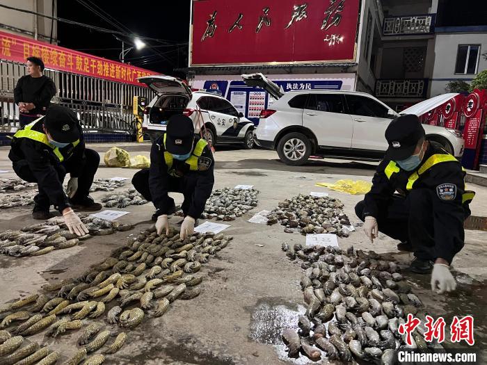圖為移民管理警察對查獲的鱷魚爪進行清點?！∴嚩赜?攝