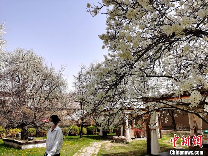圖為噶達(dá)莊園一角。　張?zhí)砀?攝