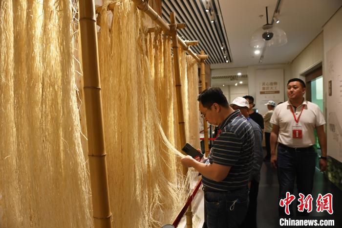 海外華文媒體嘉賓們參觀夏布博物館?！￡惓?攝