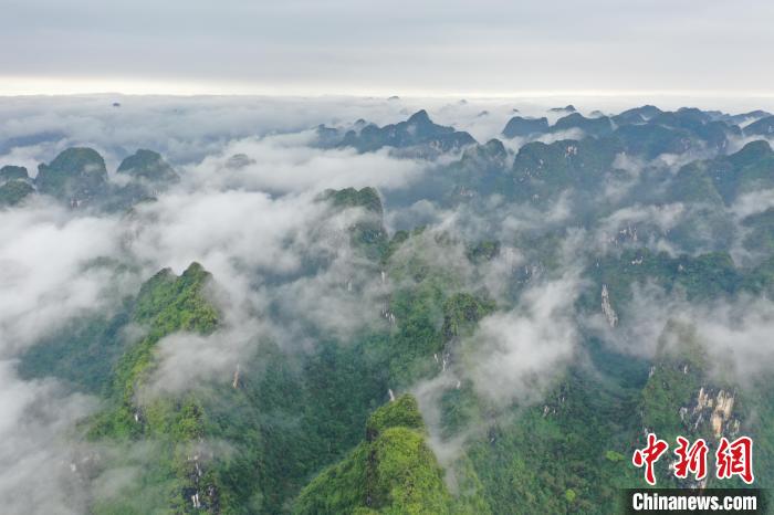 圖為廣西弄崗國家級自然保護(hù)區(qū)?！㈥稍?攝