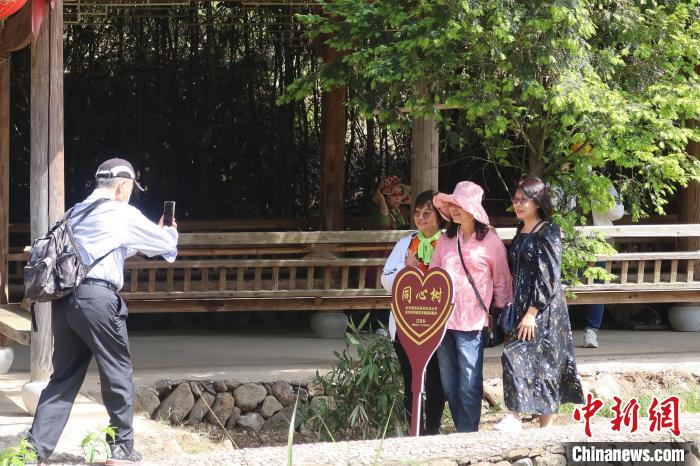 幾位臺(tái)胞在兩岸同心樹(shù)下合影，共植之樹(shù)今已亭亭如蓋?！《做?攝