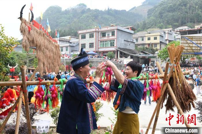 圖為游客體驗(yàn)壯族敬牛節(jié)特色文化項(xiàng)目?！×趾?攝