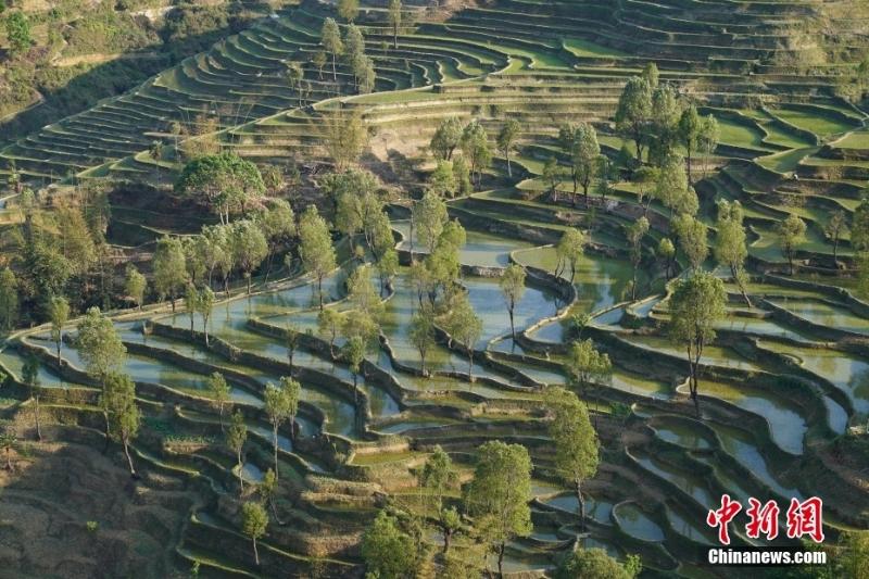 云南紅河縣梯田美景如畫(huà)