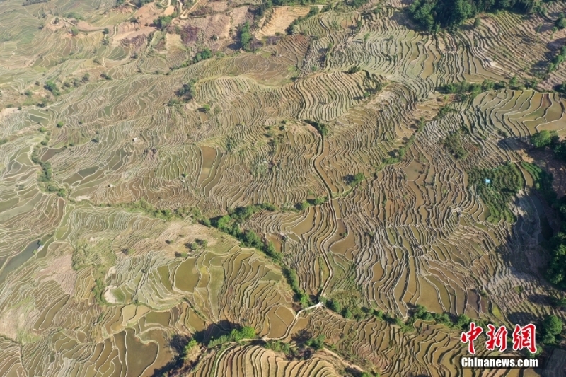 云南紅河縣梯田美景如畫(huà)
