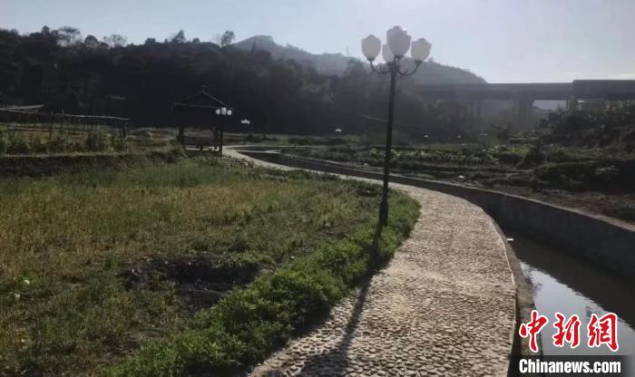 鋪前村中，景觀步道在田園間延伸?！∧习彩写a頭鎮(zhèn)政府 供圖