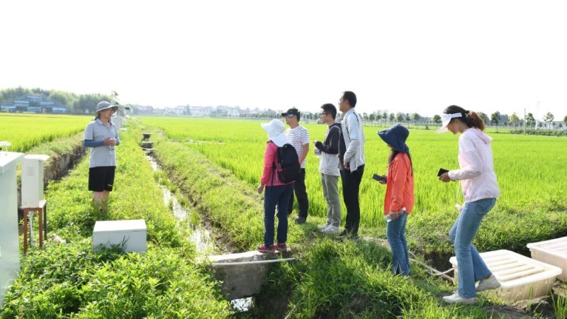 △云南大理古生村科技小院成員在田間調(diào)查。