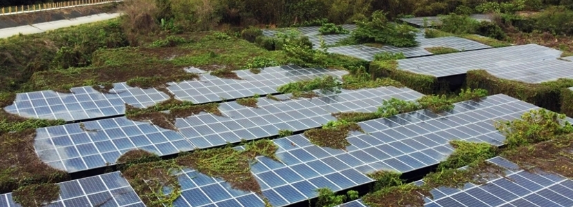 砍樹種電、軍區(qū)搭光電板…民進黨為綠能產(chǎn)業(yè)可以多離譜？