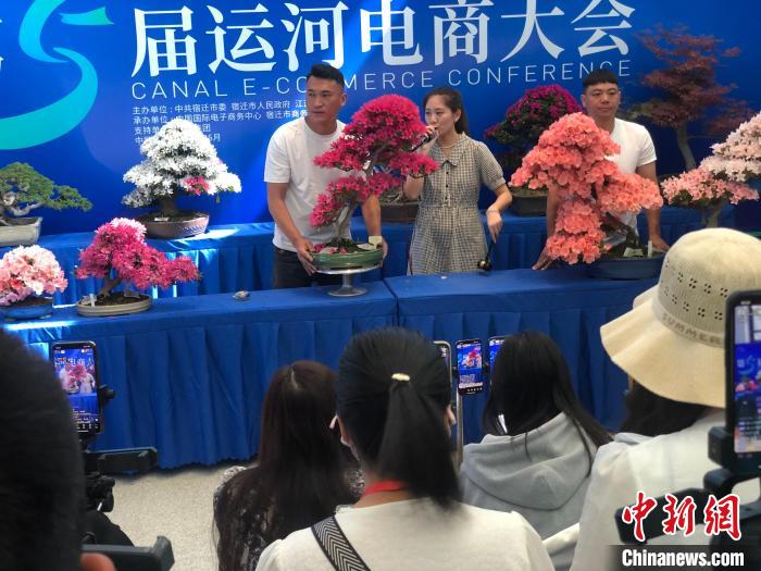 數(shù)十名主播在直播間內(nèi)競(jìng)拍花木盆景?！⒘?攝