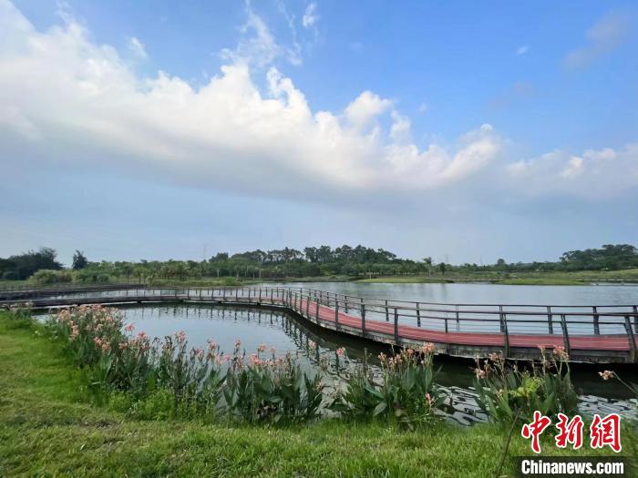 5月20日，五源河國家濕地公園美如畫?！『？谑袧竦乇Ｗo(hù)管理中心供圖