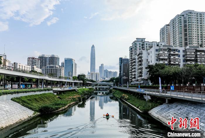 比賽在水清岸綠、河暢景美的新洲河舉行 深圳福田區(qū)委宣傳部 供圖