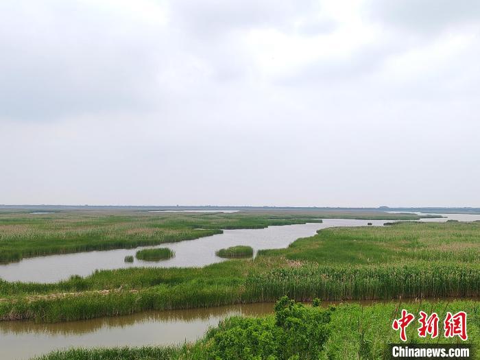 保護(hù)區(qū)內(nèi)的濕地?！」热A 攝