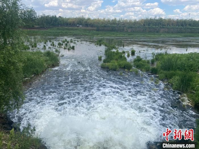 2日，經(jīng)四平市污水處理廠的尾水正在排入西湖濕地?！∽T偉旗 攝