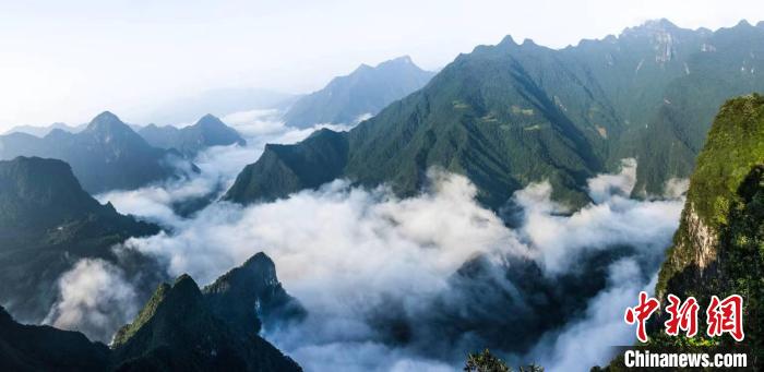 后河國家級自然保護(hù)區(qū)地處湖北武陵山區(qū)(資料圖) 后河保護(hù)區(qū)管理局 供圖