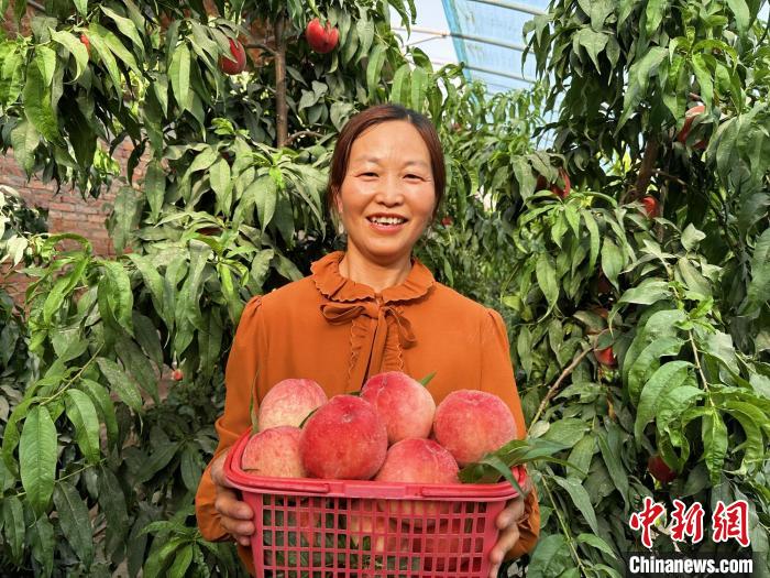 種植戶黃梅展示又大又紅的水蜜桃，一臉笑意。　劉丹 攝
