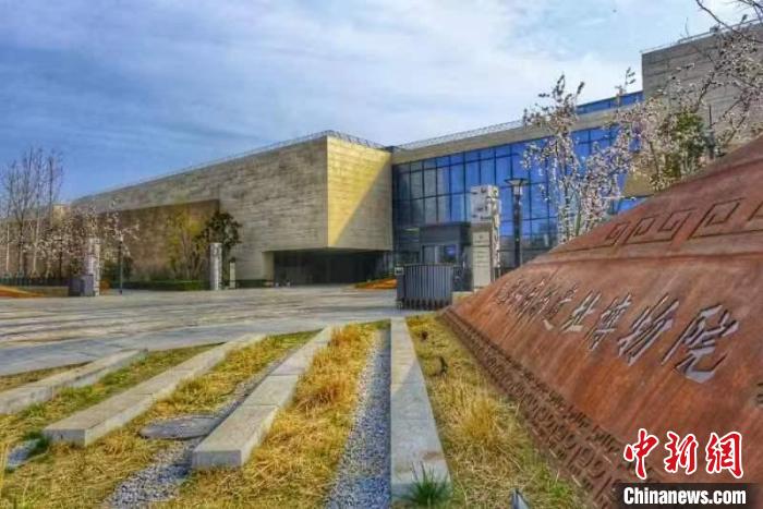 圖為鄭州商代都城遺址博物院?！『幽鲜∥奈锞止﹫D