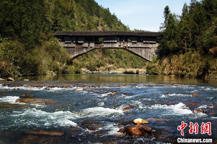 資料圖為周寧縣泗橋鄉(xiāng)周墩村的竹嶺古廊橋?！±詈樵?攝