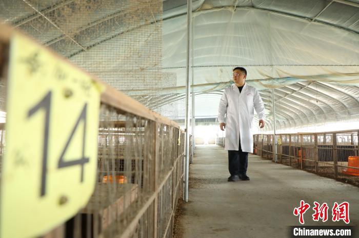 王勇在肥西縣銘傳鄉(xiāng)明航養(yǎng)殖基地指導?！》市?攝